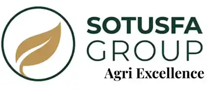 Sotusfa-Group-Logo