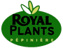 logo_royal_plant-removebg-preview-1-1 (1)