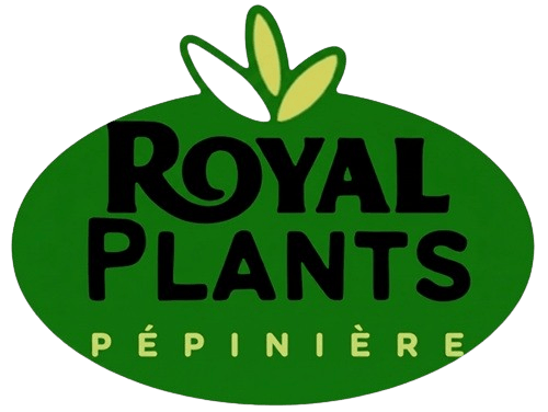 logo royal plant